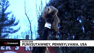 Día de la marmota en Punxsutawney: seis semanas más de invierno.
