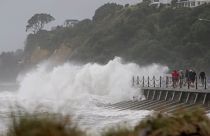 Vague impressionnante sur le littoral néo-zélandais.