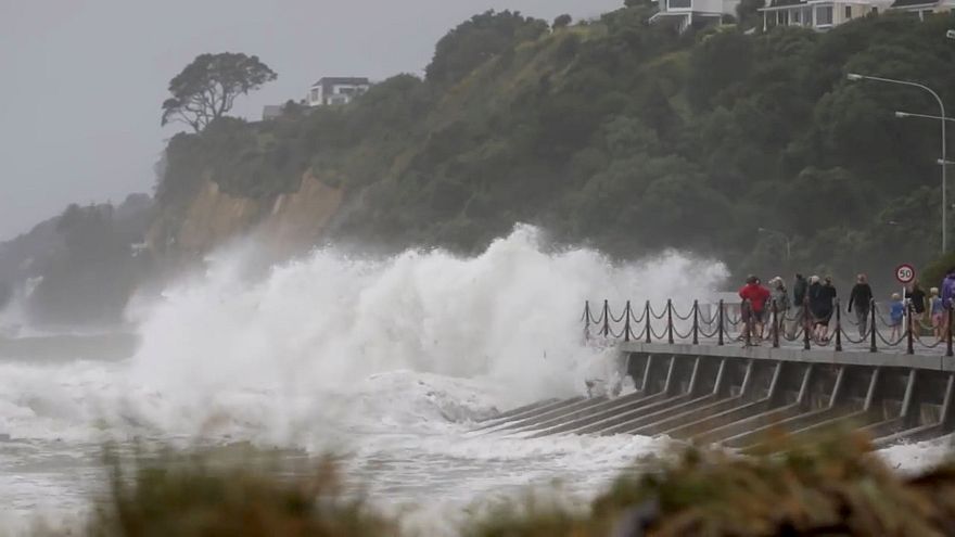 Vague impressionnante sur le littoral néo-zélandais.