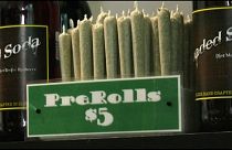 Marijuana: a San Francisco arriva l'amnistia