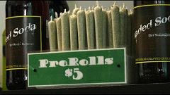 Marijuana: a San Francisco arriva l'amnistia