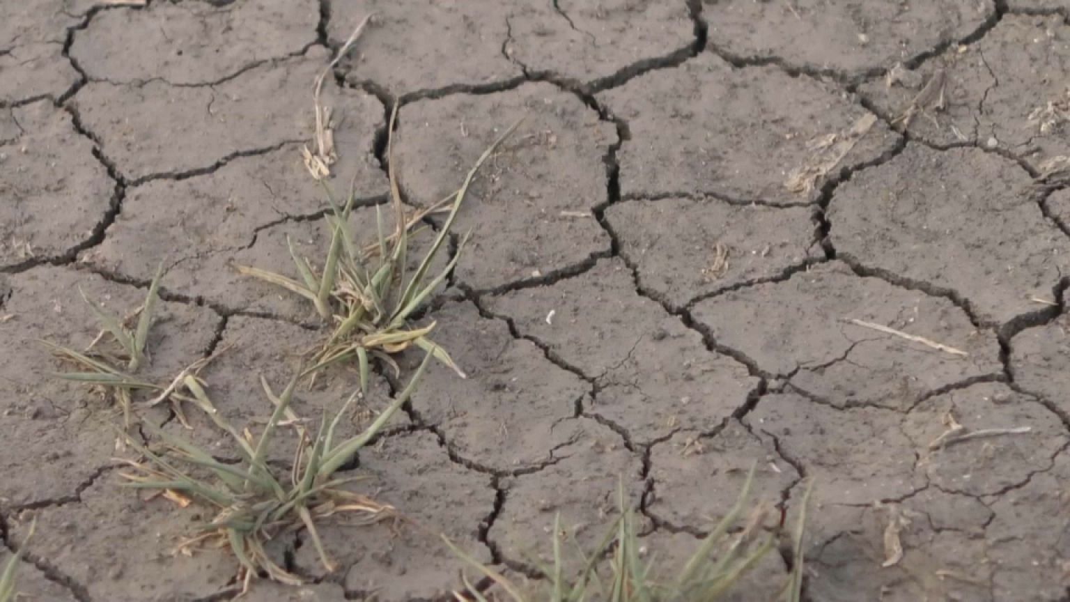 Ciudad del Cabo a punto de quedarse sin agua