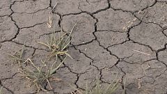 Ciudad del Cabo a punto de quedarse sin agua