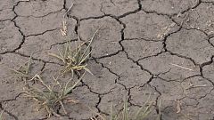 Кейптаун может остаться без питьевой воды