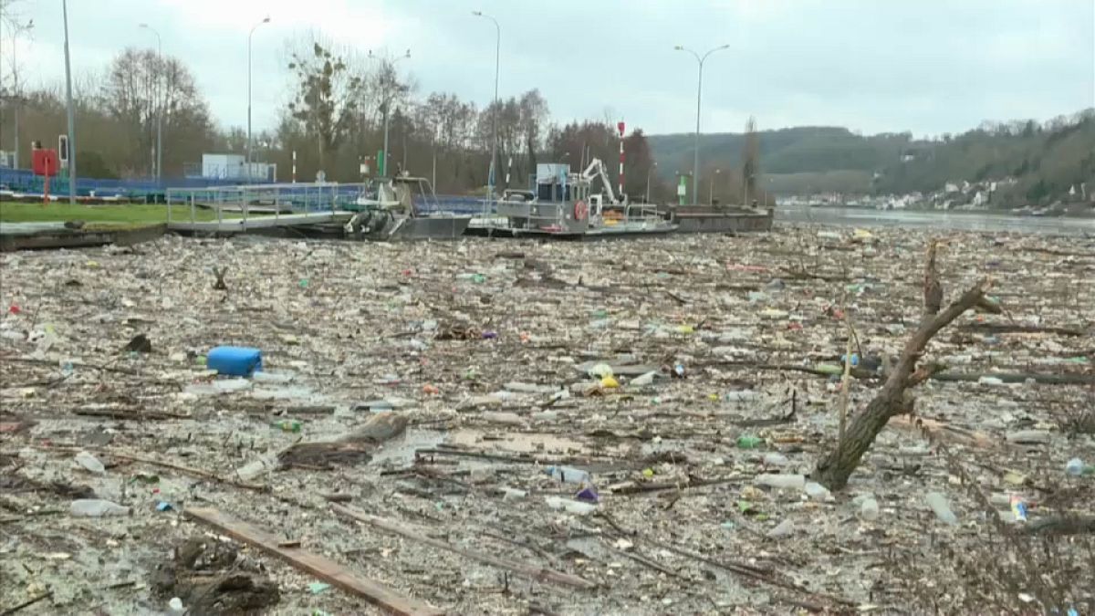 Un lac de déchets sur la Seine