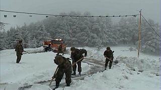 L'armée algérienne à l'assaut de la neige