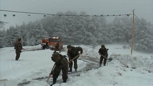 L'armée algérienne à l'assaut de la neige L'armée algérienne à l'assaut de la neige