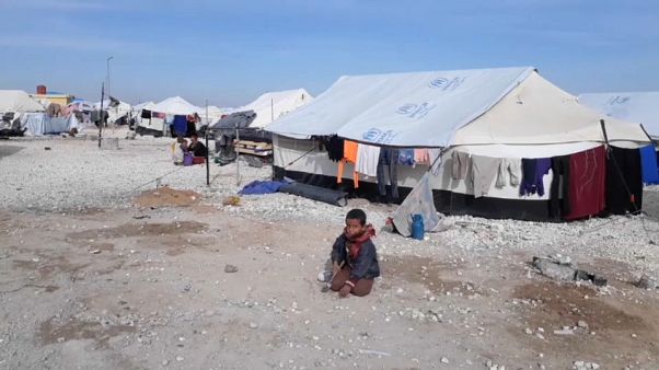 Mois de janvier sanglant en Syrie, l'appel des ONG Mois de janvier sanglant en Syrie, l'appel des ONG