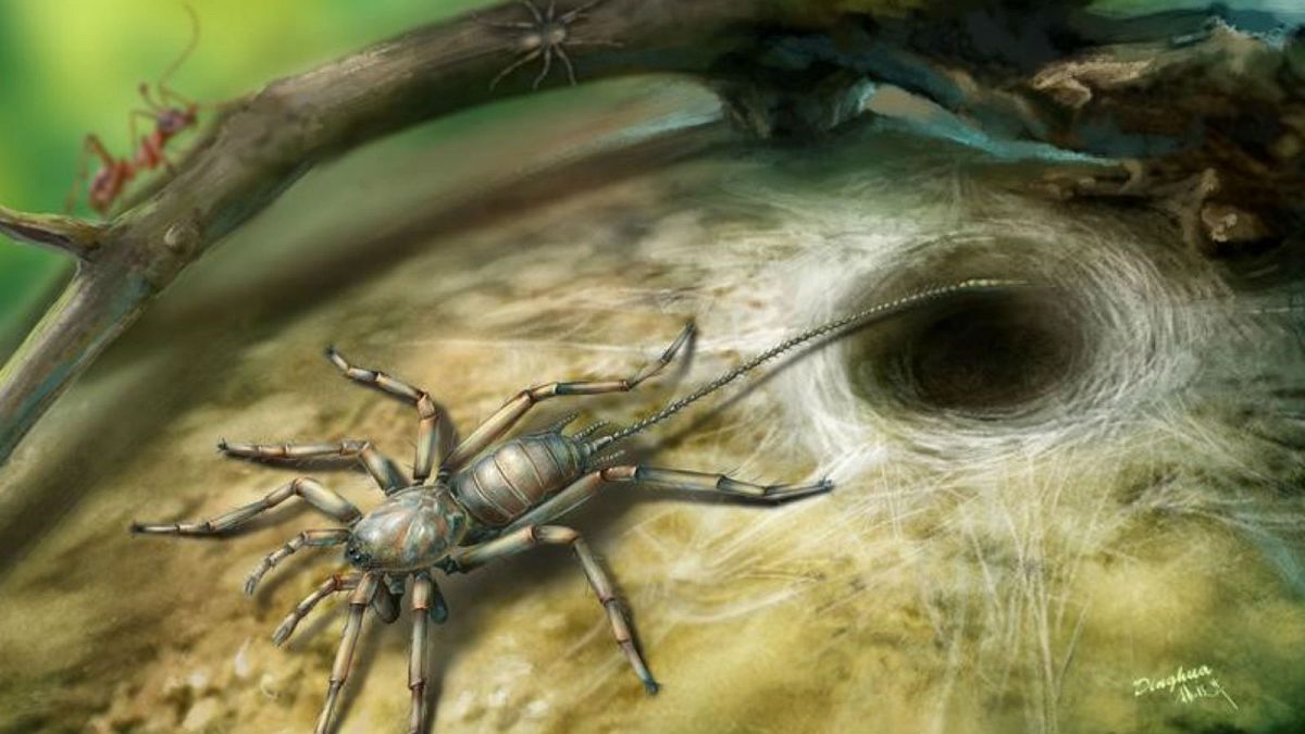 اكتشاف نوع من العناكب المنقرضة لها ذيل داخل قطع من الكهرمان