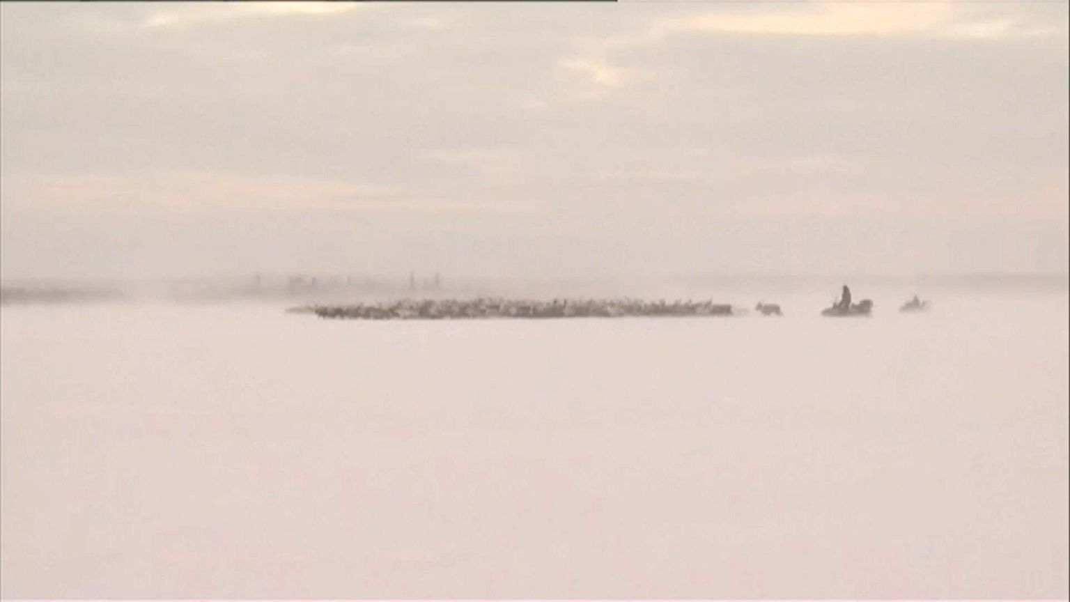Internationaler Sámi-Tag