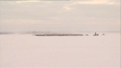 Internationaler Sámi-Tag