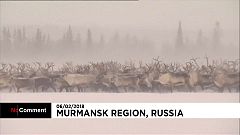 Rusia celebra el Día Internacional del Pueblo Lapón