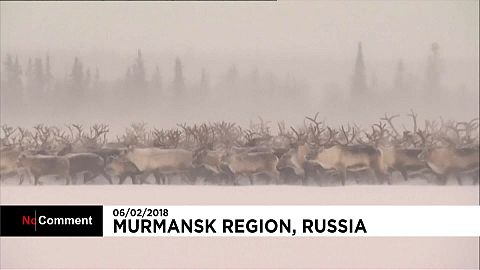 Rusia celebra el Día Internacional del Pueblo Lapón