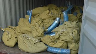 Russia: contrabbando di mammut per milioni di euro