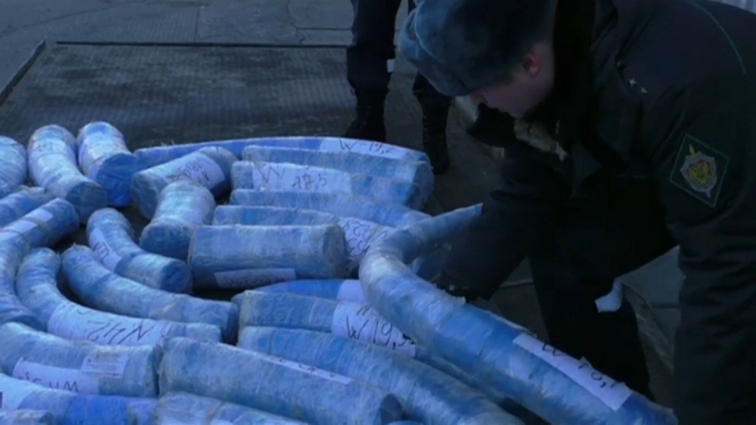 Russland: Schmuggel mit Mammutstoßzähnen aufgedeckt
