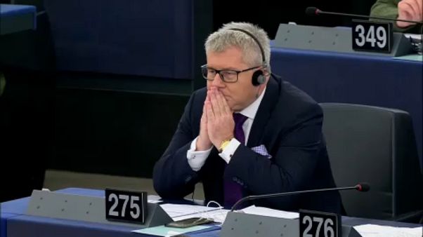 European Parliament axes vice president over Nazi jibe European Parliament axes vice president over Nazi jibe