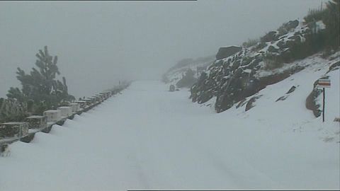 La isla de Madeira se viste de blanco