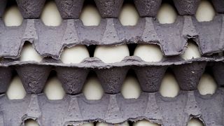 Χειμερινοί Ολυμπιακοί Αγώνες: 15000 αυγά παρήγγειλαν οι Νορβηγοί