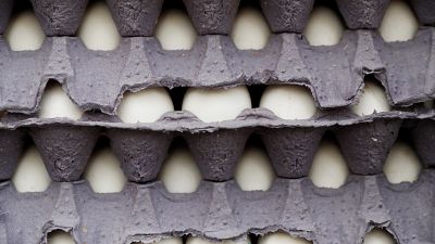 Χειμερινοί Ολυμπιακοί Αγώνες: 15000 αυγά παρήγγειλαν οι Νορβηγοί 