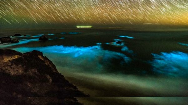 Fitoplancton luminescente in California Fitoplancton luminescente in California