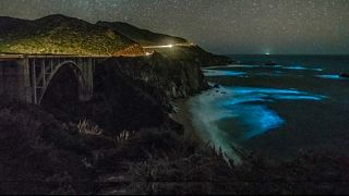 Fluoreszkál a tenger Kaliforniában