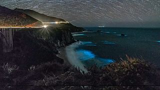 Glowing phytoplankton light up California coast.