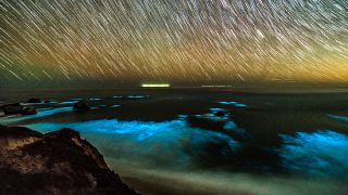 Vagues bioluminescentes en Californie