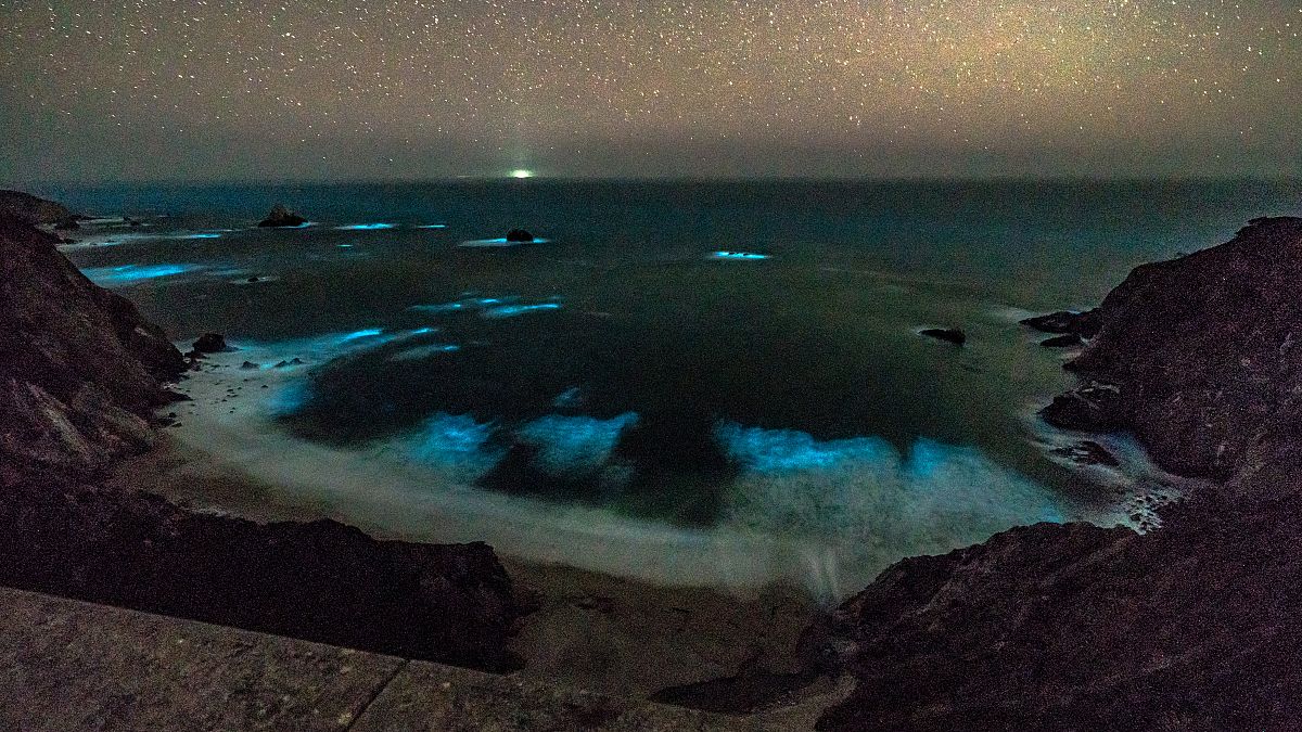 Phytoplankton leuchtet in den Wellen vor Big Sur.