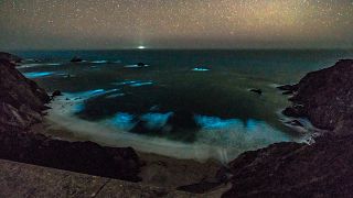 Phytoplankton leuchtet in den Wellen vor Big Sur.
