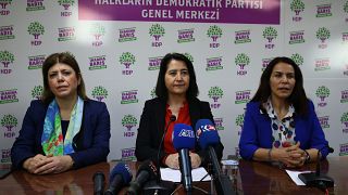 HDP Eş Genel Başkanı Serpil Kemalbay'a gözaltı kararı