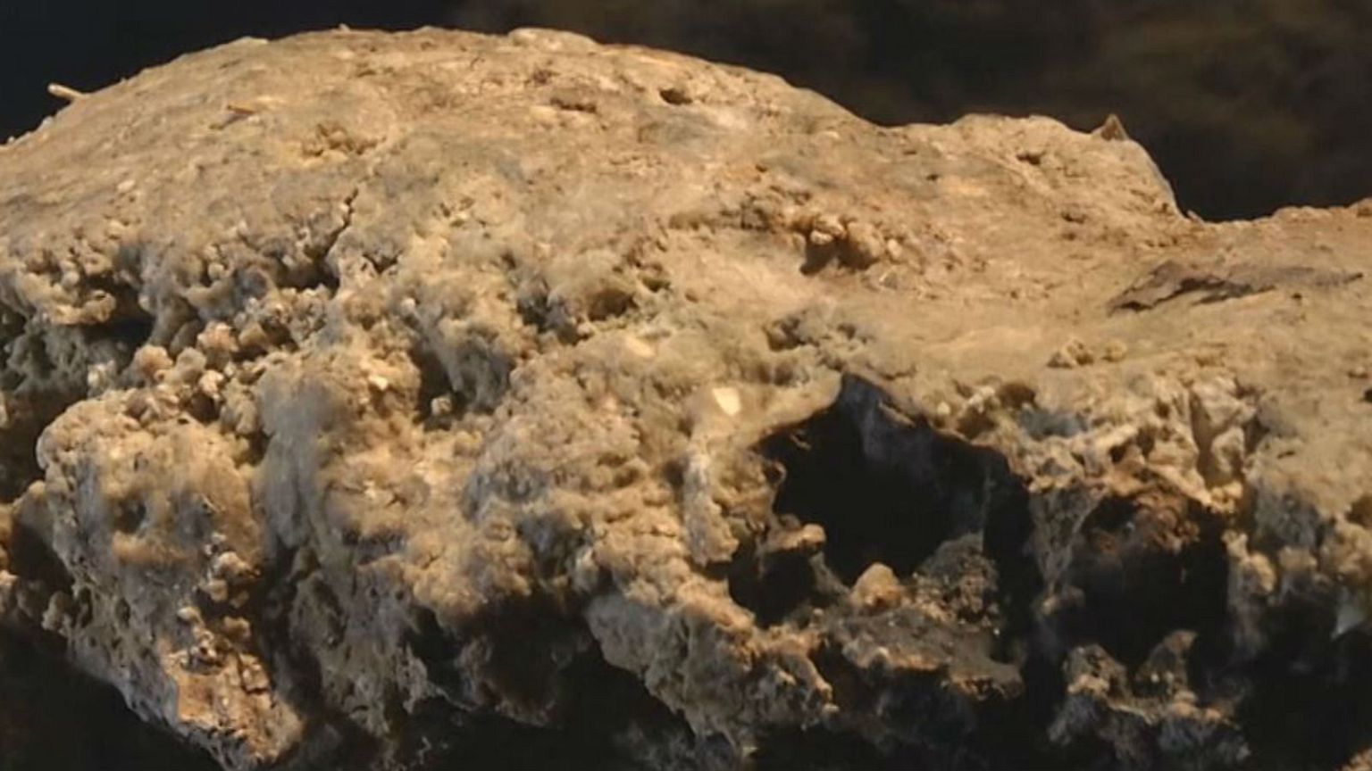 London's 'fatberg' moves from sewer to museum 