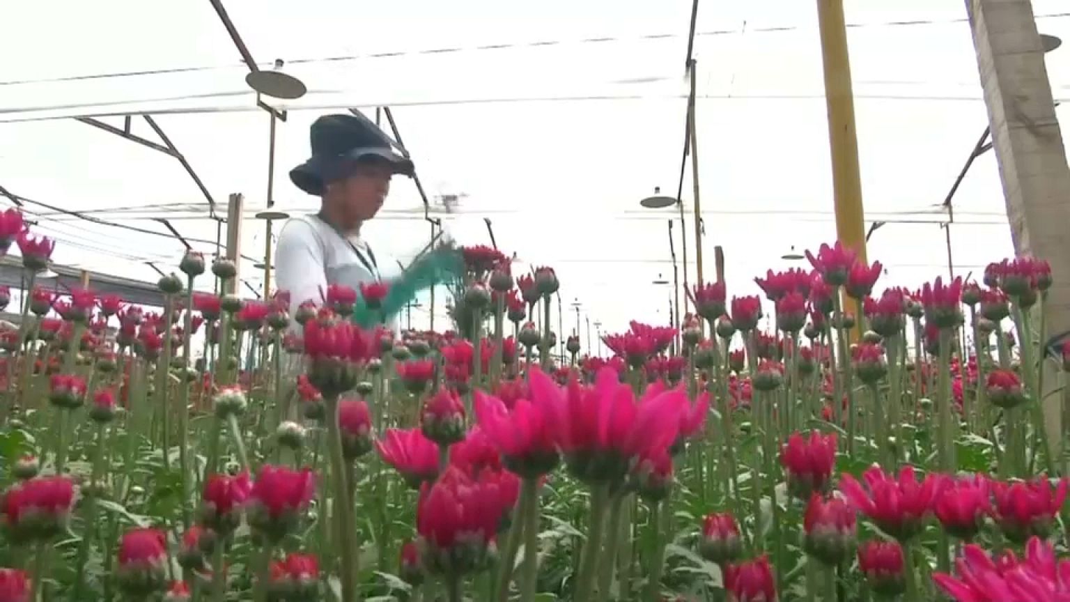 San Valentín, algo más que el día de los enamorados