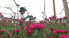 San Valentín, algo más que el día de los enamorados