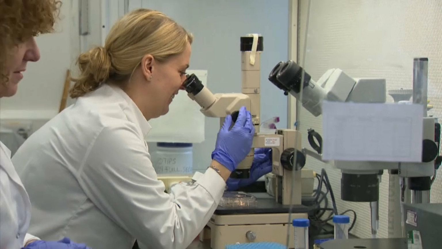 Óvulos humanos desenvolvidos em laboratório