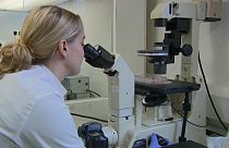 Researchers at Edinburgh University's School of Biology