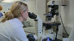 Researchers at Edinburgh University's School of Biology