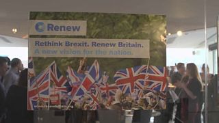 "Renovação": o novo partido anti-Brexit