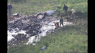 Un avion de combat israélien s'écrase près de la Syrie