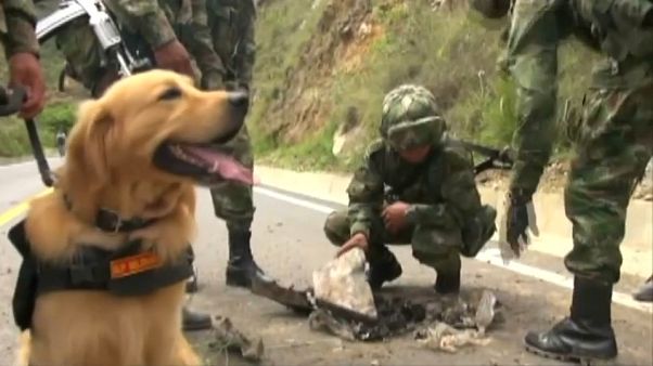 Doble atentado sin víctimas del ELN en Colombia Doble atentado sin víctimas del ELN en Colombia