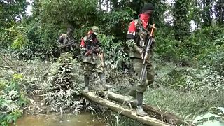Colombia blames ELN militants for bridge bomb attack