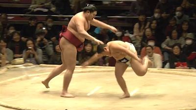 Sumo wrestling: children VS champs