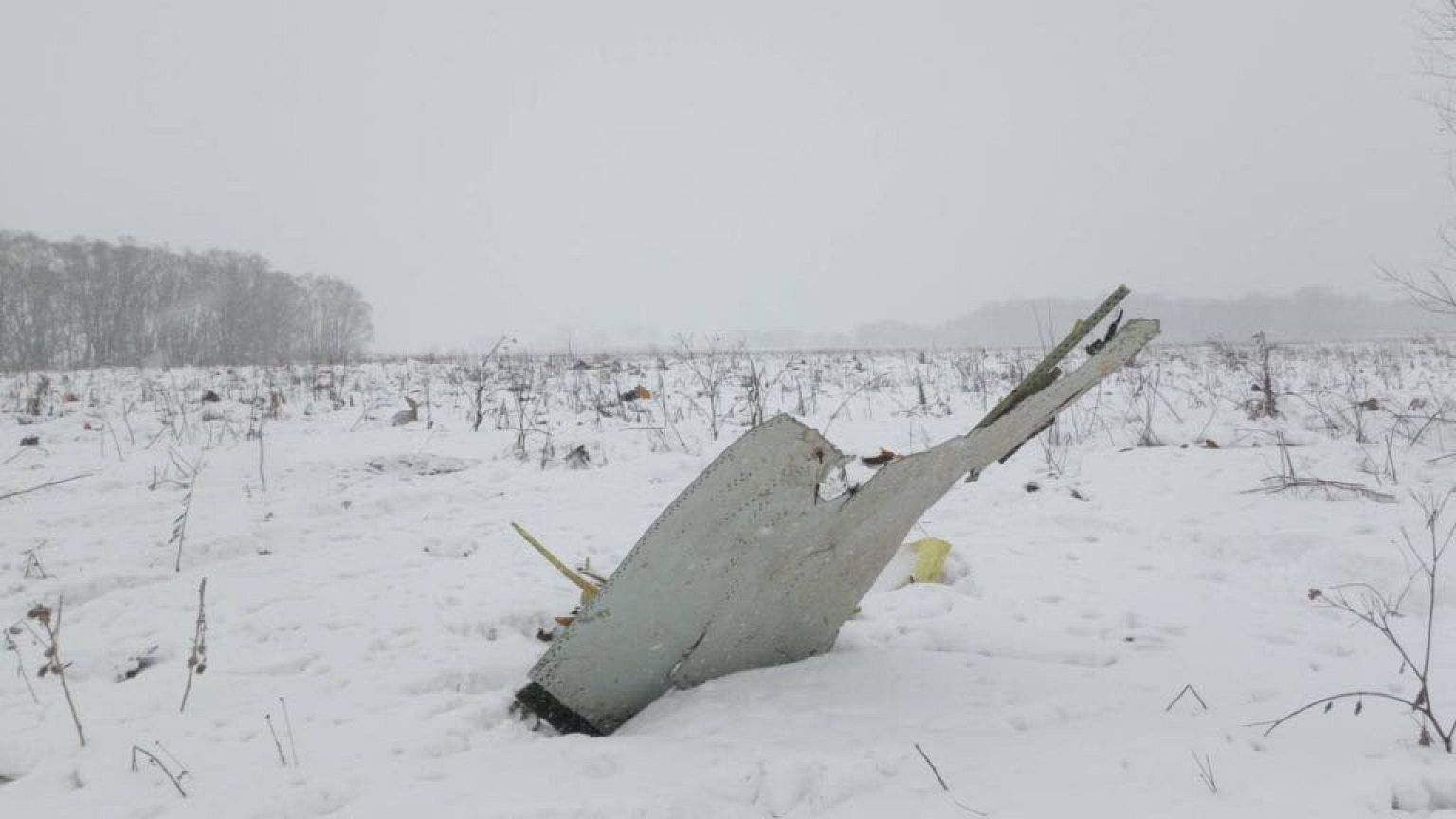 Wrackteil der AN-148 an der Absturzstelle südöstlich von Moskau
