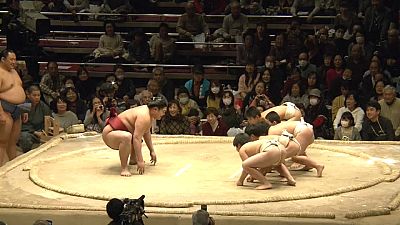 Minik öğrenciler dev sumo güreşçisine karşı