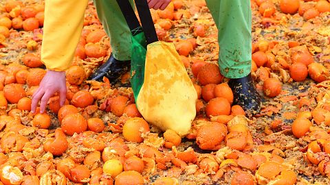 Carnevale di Ivrea: la "Battaglia delle Arance" tra spettacolo e storia