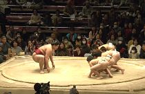 أطفال يواجهون بطل العالم في مصارعة "سومو" اليابانية