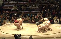 Japan: Sumo-Ringer gegen Schulkinder