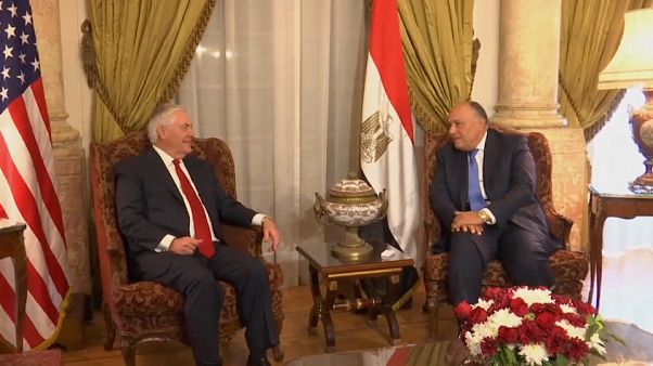 Tillerson al Cairo: "Lotta comune al terrorismo" Tillerson al Cairo: "Lotta comune al terrorismo"