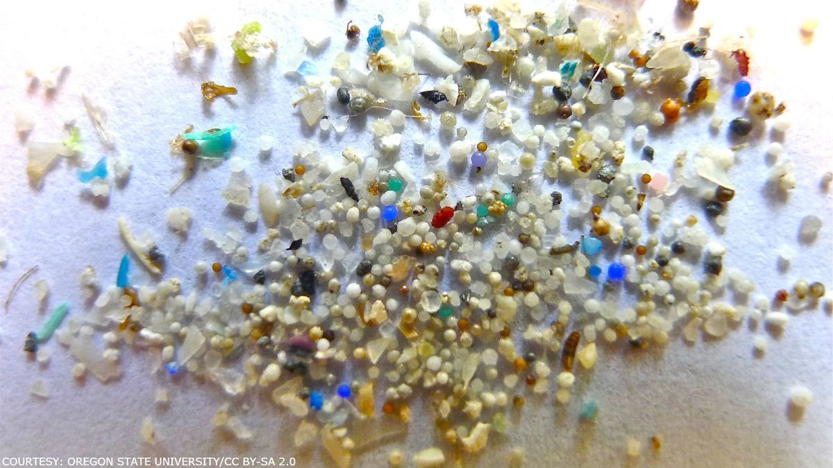 Microplastics pollute even the most remote parts of the ocean, scientists warn