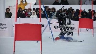 Роботы-олимпийцы