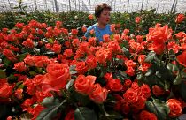 Valentine’s Day: to Russia with love — from the EU